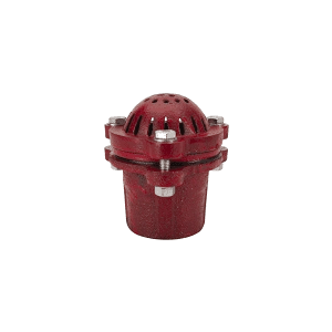 Check Valves & Foot Valves
