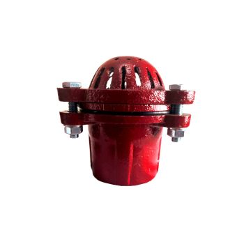 4" Cast Iron Foot Valve